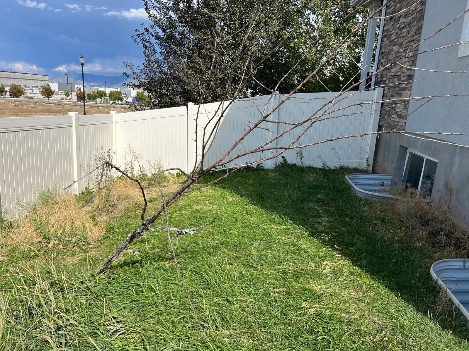 Backyard Cleanup before