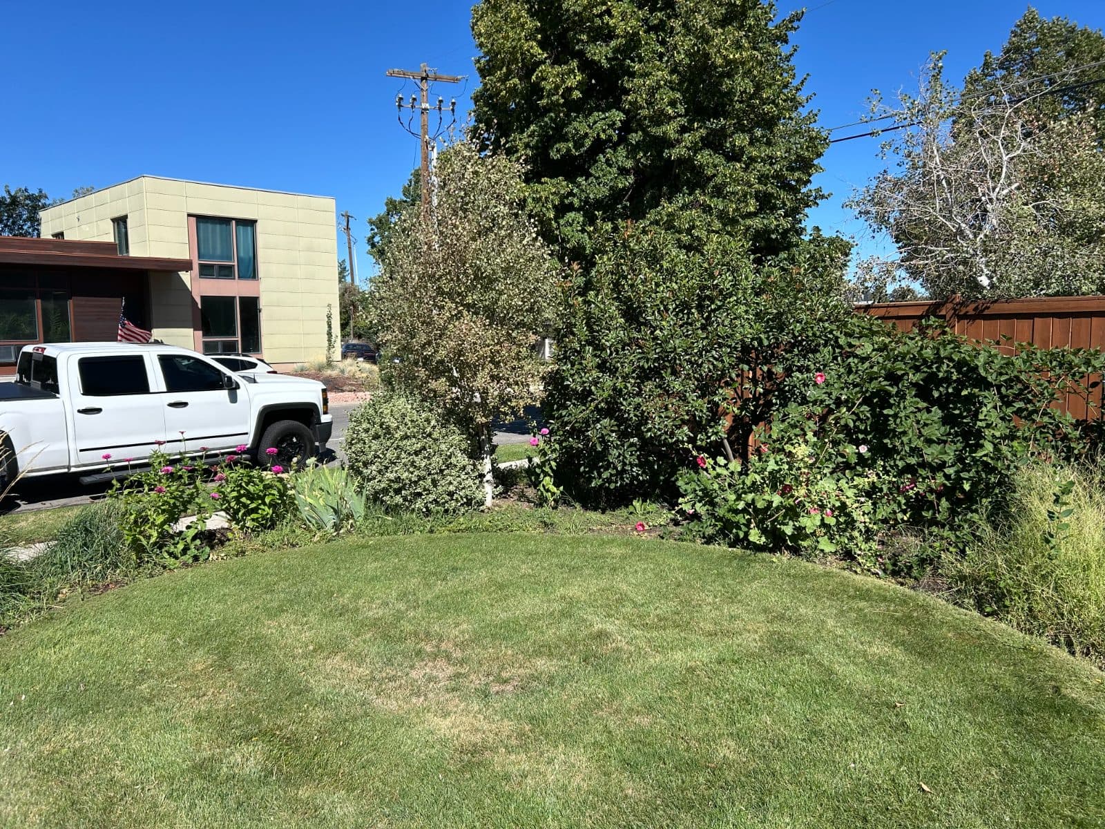 Flowerbed overgrowth before