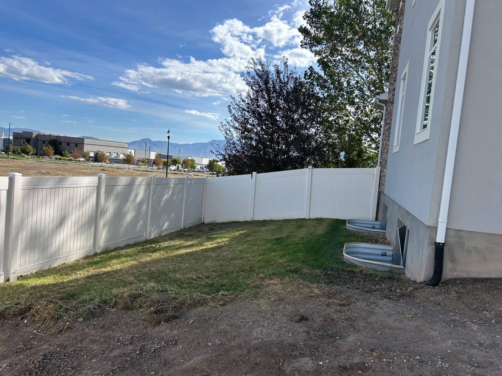 Backyard Cleanup after