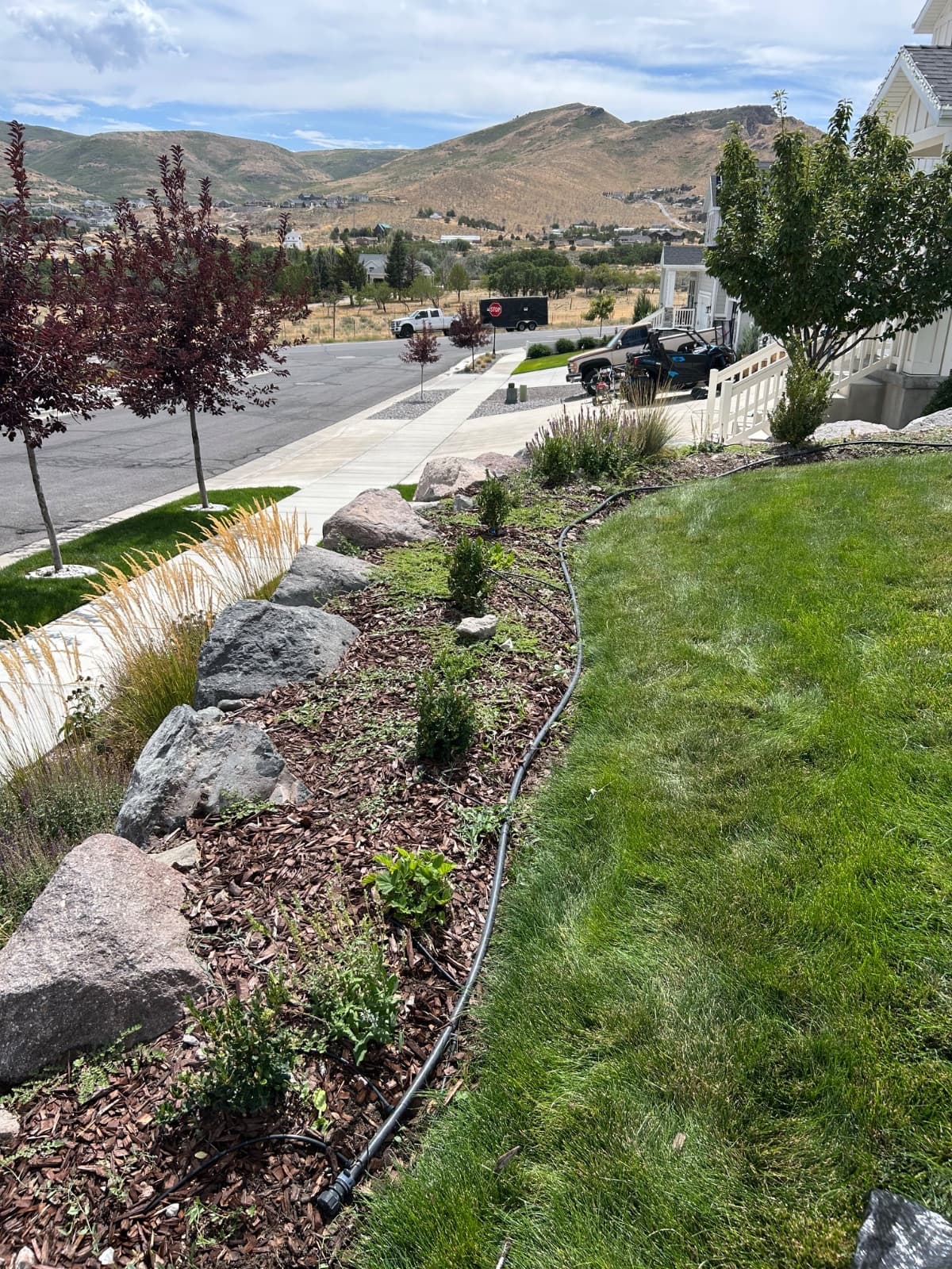 Front Yard Weed Removal & Cleanup before