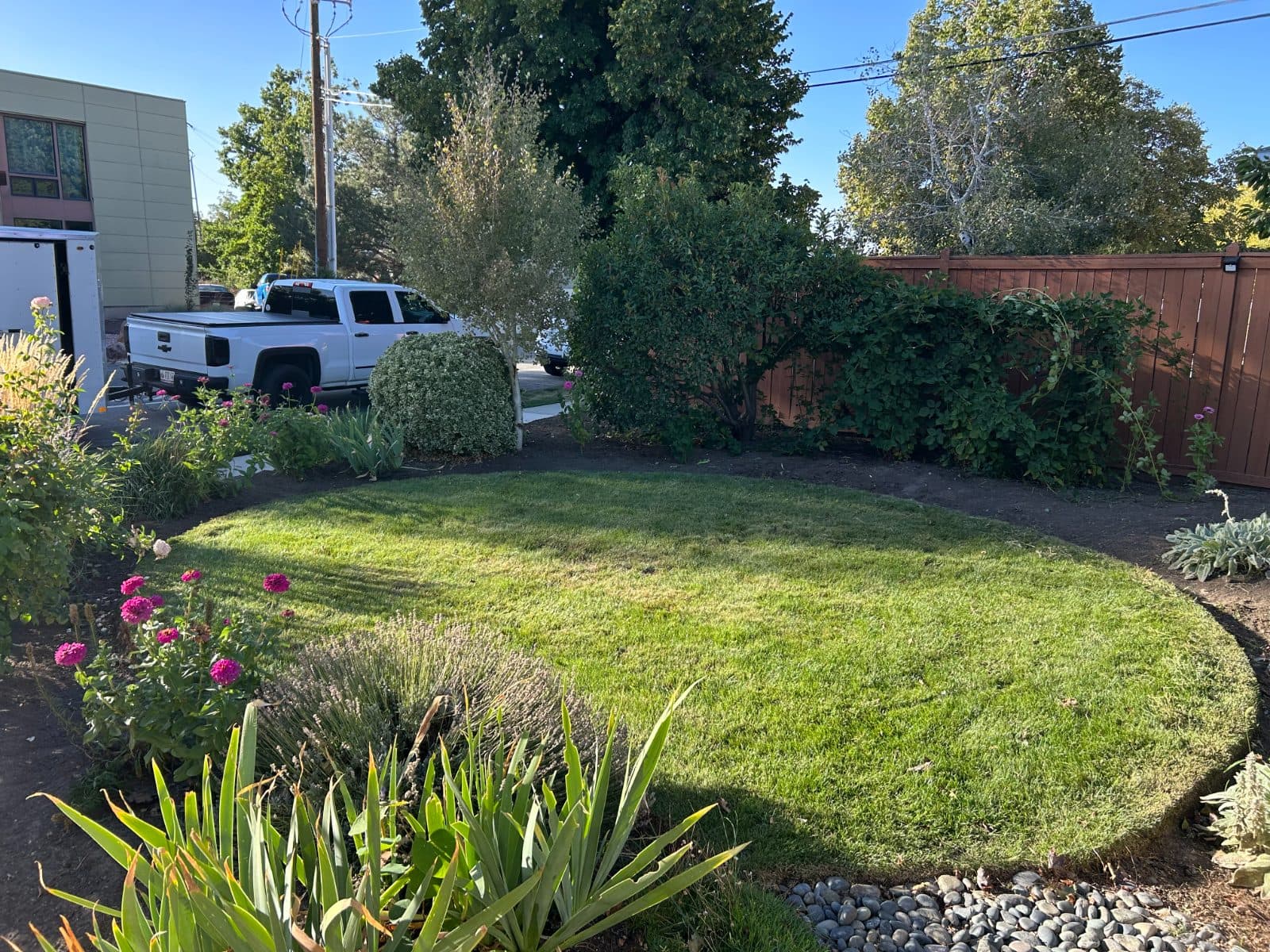 Flowerbed overgrowth after