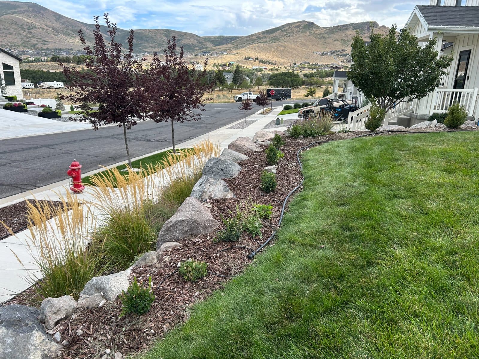 Front Yard Weed Removal & Cleanup after