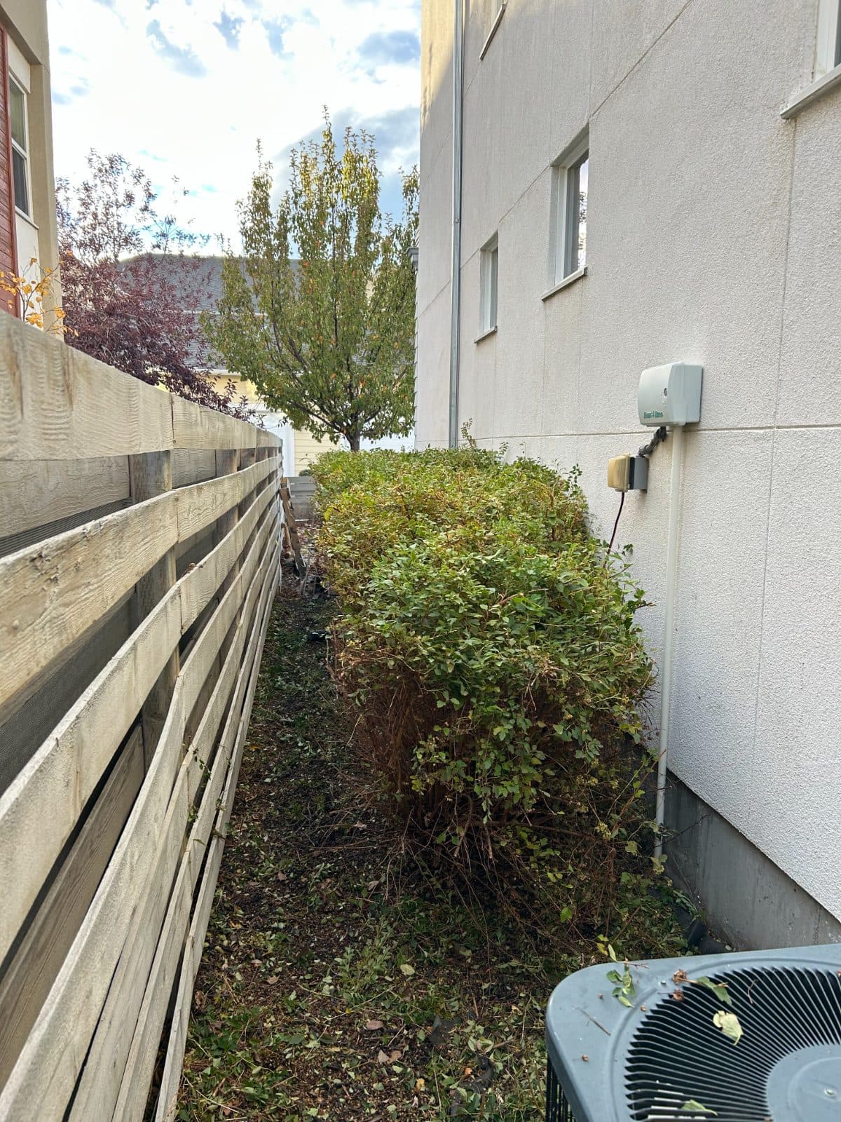 Fall Bush Trimming after